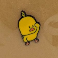 Looking Duck Enamel Pin 38