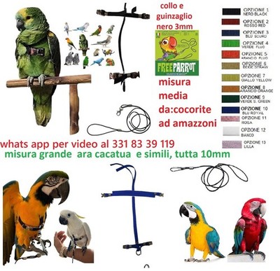 Orange Elastic Parrot Harness 10MM Quick Attach Buckles All Breeds