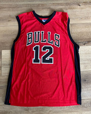 NBA Chicago Bulls Jersey Mens 2XL Kirk Hinrich 12 Red Black Authentic Mesh Team