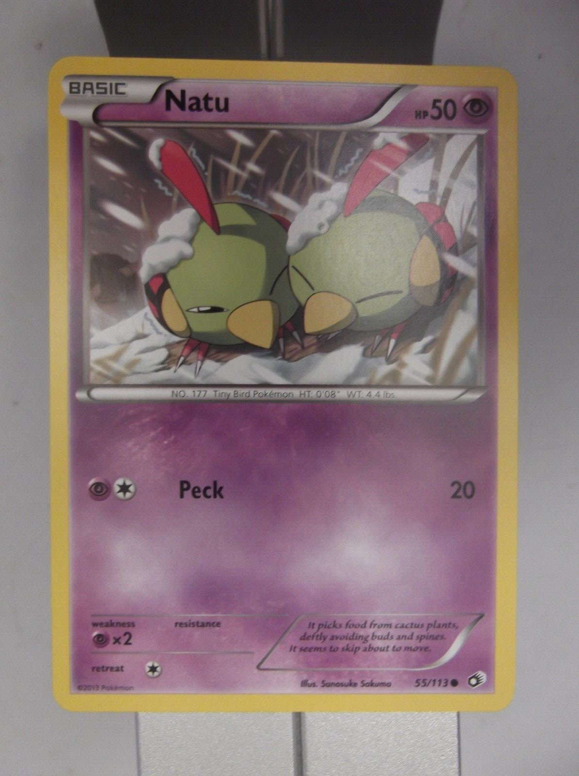 074PK055 - Natu- 55/ 113 - Legendary Treasures - Common *