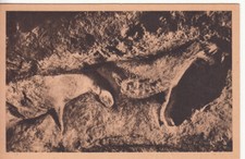 Carte postale ancienne LES EYZIES DORDOGNE abri du cap blanc chevaux sculptés