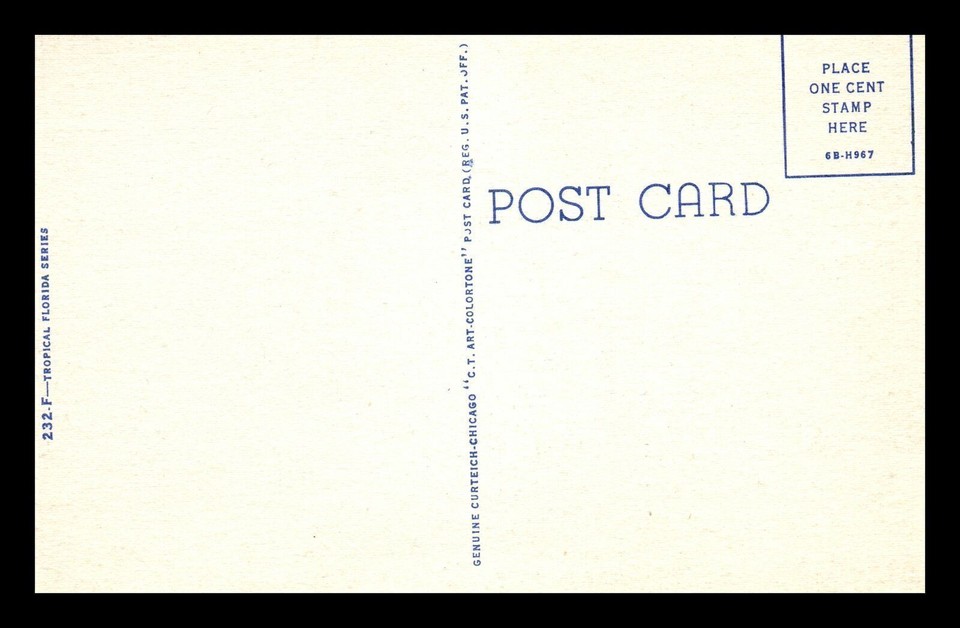 1940s Florida Banana Tree Loaded with Fruit Linen Postcard 260 eBay