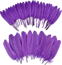 iHUFeather 270pcs Purple Goose Feathers for Crafts 2 Styles 4-7 inch 