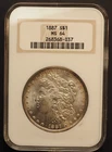 1887  *P* MORGAN SILVER  $1 DOLLAR  NGC MS64**FATTY HOLDER **FREE SHIPPING G1671