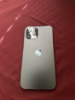 iPhone 12 Pro Max