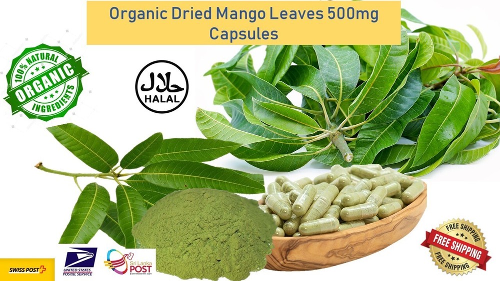 ORGANIC Mango Leaf Capsules(600mg) From Sri Lanka leaves leave natural