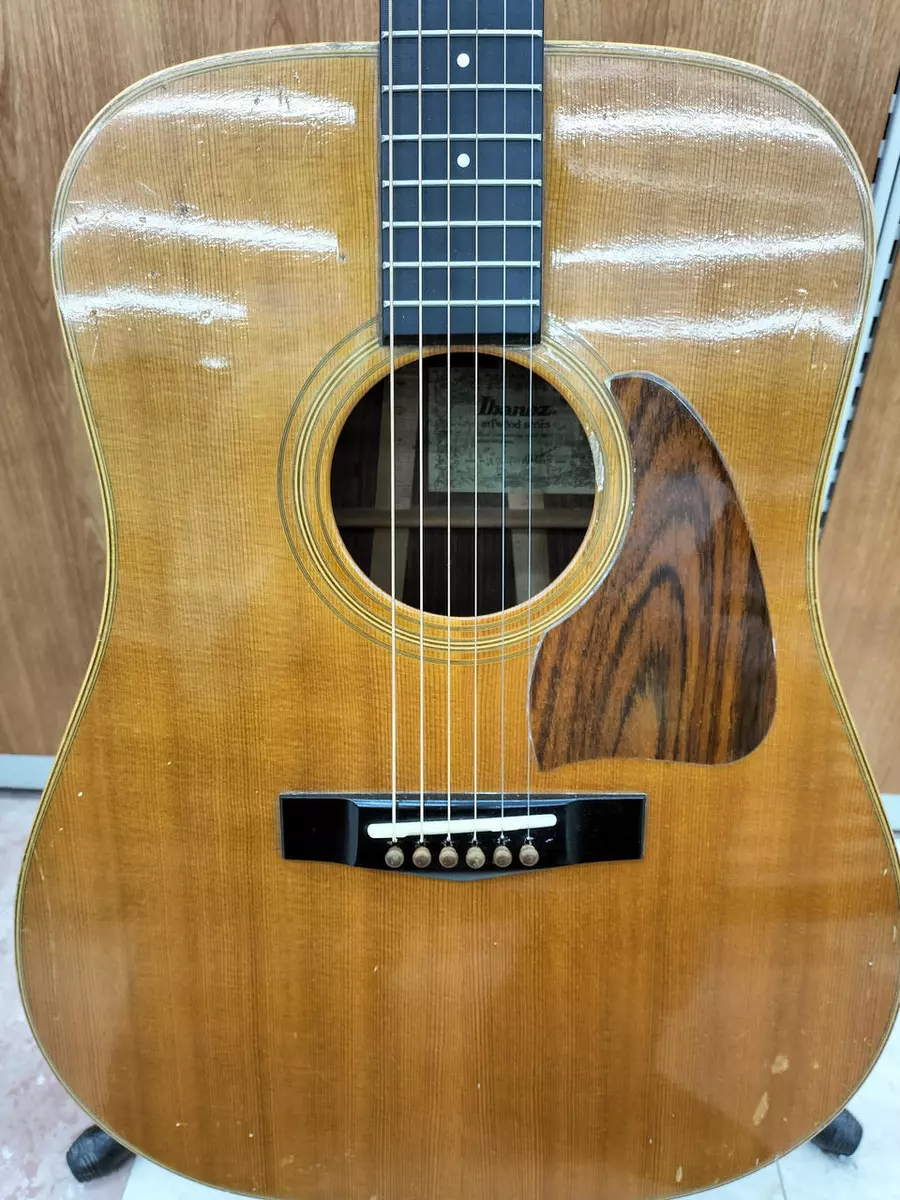 Ibanez 2024 aw 100