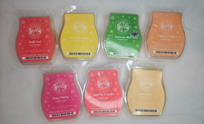  Your Choice  Scentsy Wax Bar