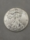 2020 American Silver Eagle 1 oz $1 - BU .999 Silver