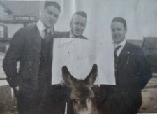 Boston MA Antique Photo 1916 Lyford St Donkey Ears Woodrow Wilson Trio Democrat