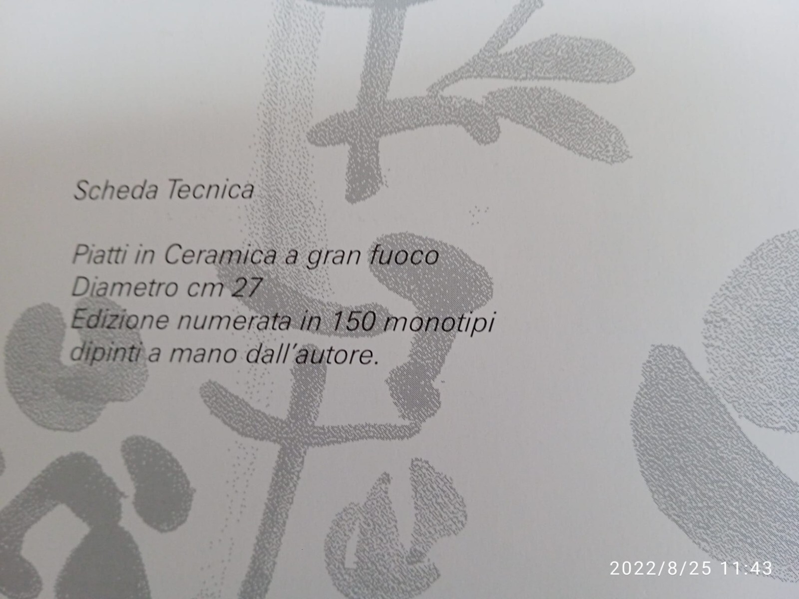Foto 5 di 6