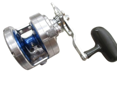 Daiwa Saltiga Z20 Baitcasting Spinning Reel for sale online | eBay