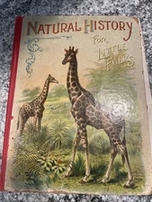 Natural history For Little folks 1904