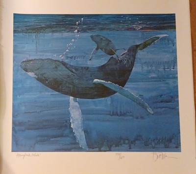 Humpback Whale by Bart Forbes - Signed/Numbered Print