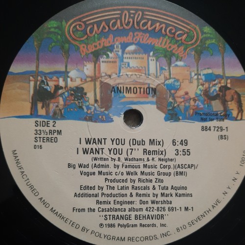 Animotion I Want You Record 12" Vinyl Single Casablanca Promo Copy 884 729-1 - Picture 4 of 6