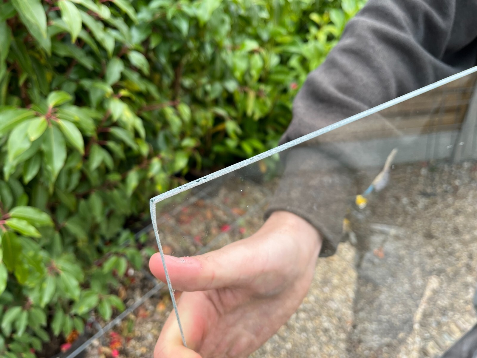 Greenhouse Shed Toughened Glass 610mm x 610mm Replacement Window