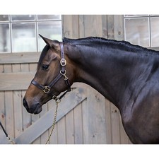 Gatsby Leather Turnout Halter w/Snap