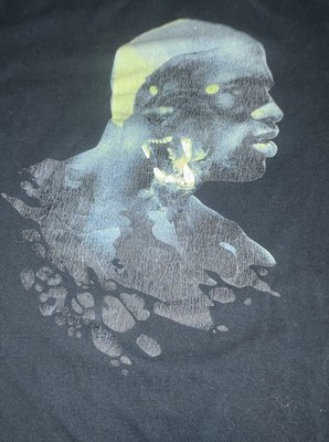Nike Air Jordan Jumpman Panther Graphics Logo T-Shirt Mens L Michael Jordan