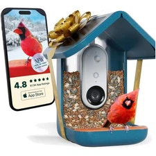 AI-Powered Bird Feeder with 2K Live Video and Real-Time Species Identification