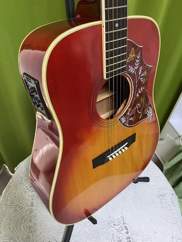 Onkyo W480H Hummingbird Acoustic Guitar Spruce Top Mahogany Body Eco Sound New