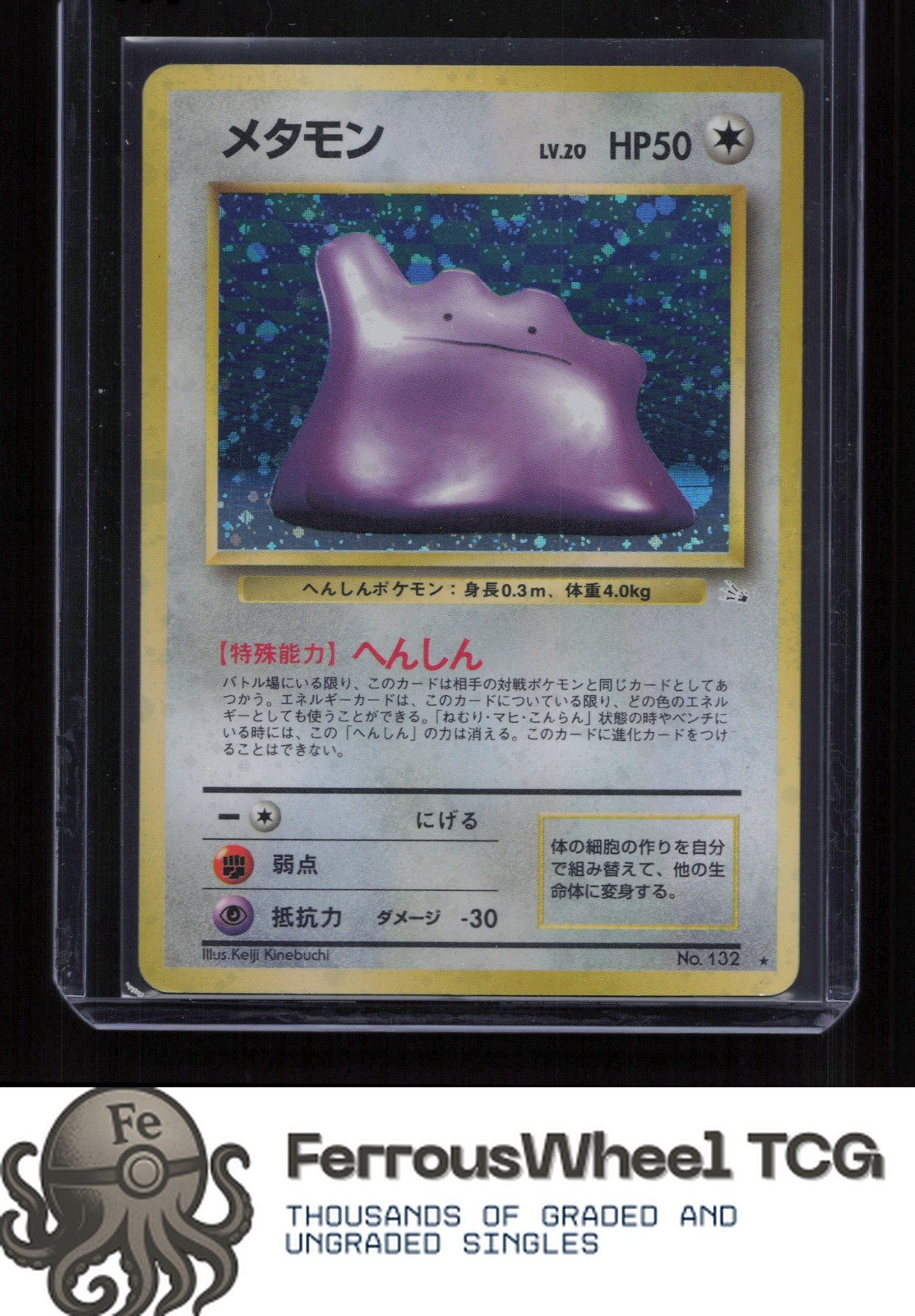 Ditto - Mystery of the Fossils - (MP)