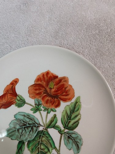 2 Copeland Spode 6 ½” Bread/Dessert Plates Pattern #S3241 by artist, A. Ball - Picture 6 of 6