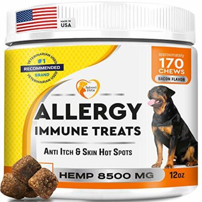 allergy allergies chews probiotics relieves boost