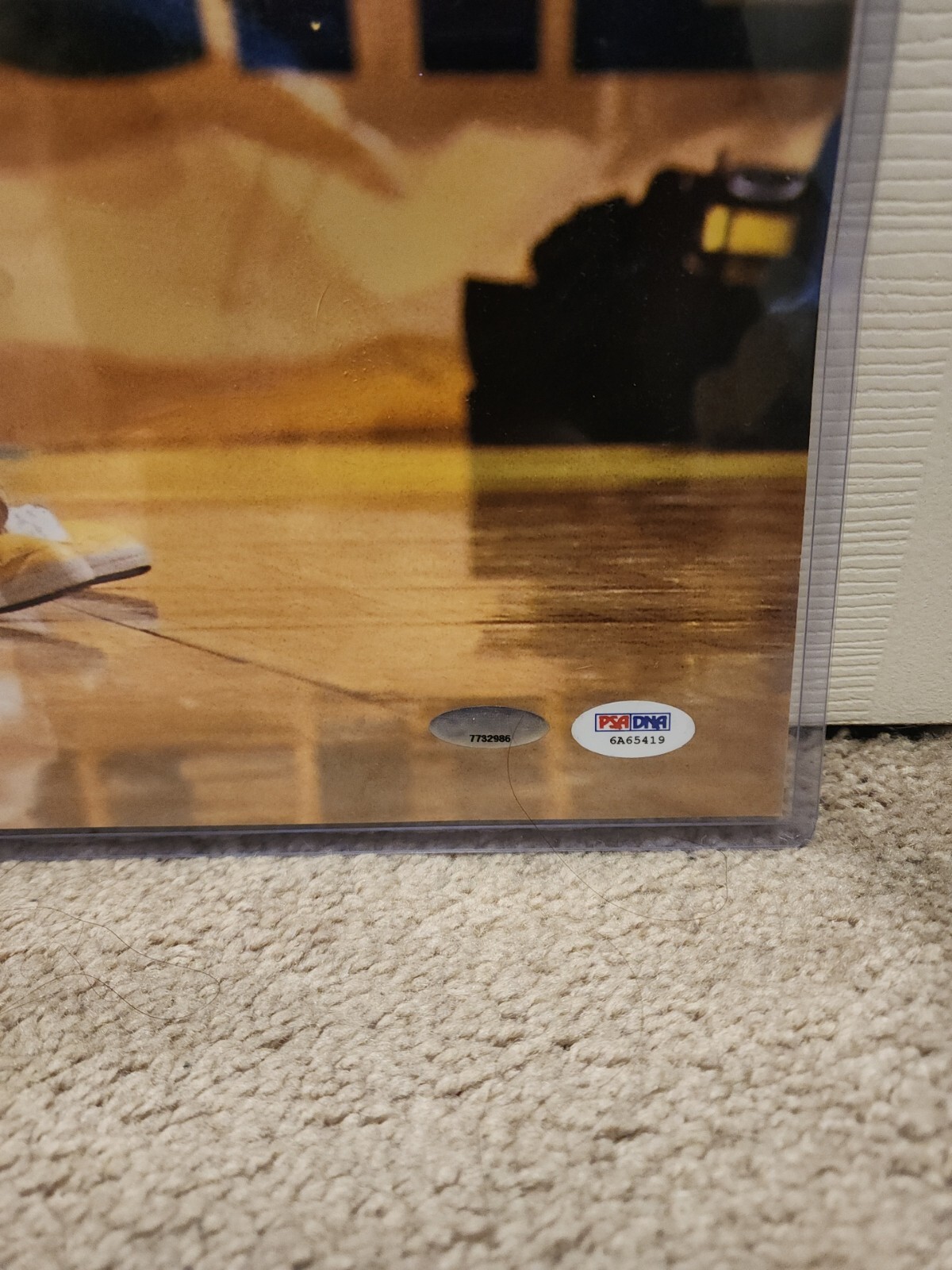 Picture 5 of 7
