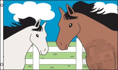 TWO HORSES FLAG 3' x 5' - WITH HORSE FLAGS 90 x 150 cm - BANNER 3x5 ft High qual