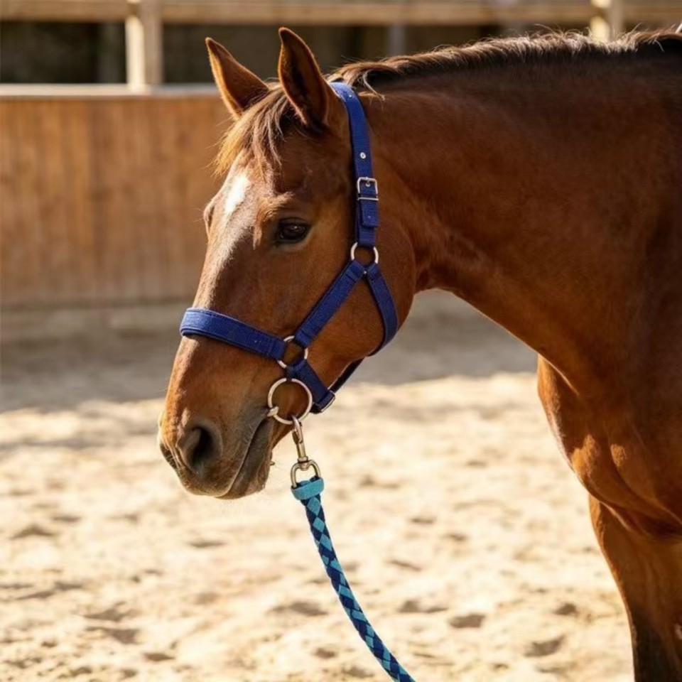Adjustable Nylon Horse Halter Wear Resistant for Riding Barns, Stable ...