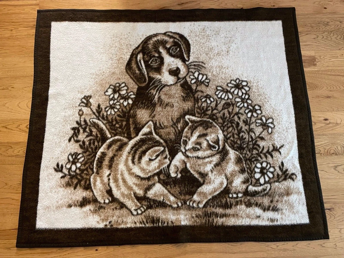 Biederlack cat blanket new arrivals