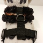 Bild 4 von 6