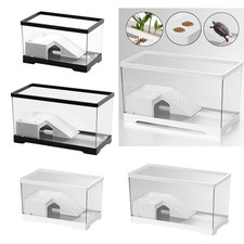Réservoir de tortues, accessoires robustes, Terrarium de tortues, décoration