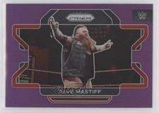 2022 Panini Prizm WWE Purple Prizm 29/149 Dave Mastiff #21 2g6