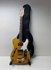 Custom Semi-Hollow Body Electric Guitar