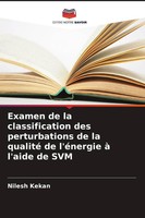 Nilesh Kekan | Examen De La Classification Des Perturbations De La Qualité De...