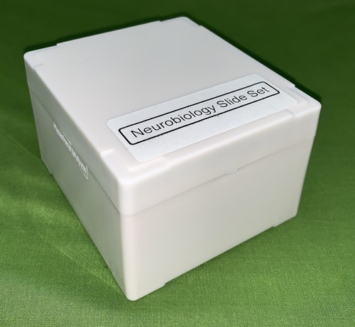 NEUROBIOLOGY Microscope Slide Set HUMAN BRAIN+OCULAR CNS Disease Tumor Neurology - Picture 11 of 11