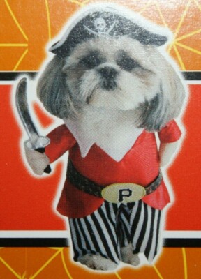 Pirate Pet Costume XS by Spooky Village Free US Shipping