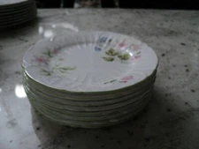SHELLEY ENGLAND WILD ANEMONE 1) BREAD AND BUTTER PLATES  13977