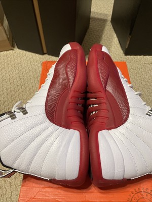 jordan 12 trainers