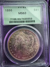 PCGS Blunder! 1880 Morgan MS63 - Slab Says Wrong Date - Genuine Coin
