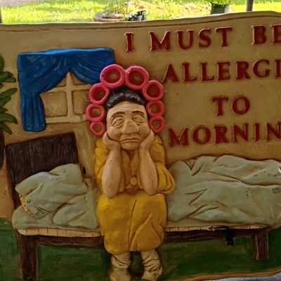 #ad 3D Resin Humor Wall Plaque Sign quot;I Must Be Allergic to Morningquot; Woman $15.00