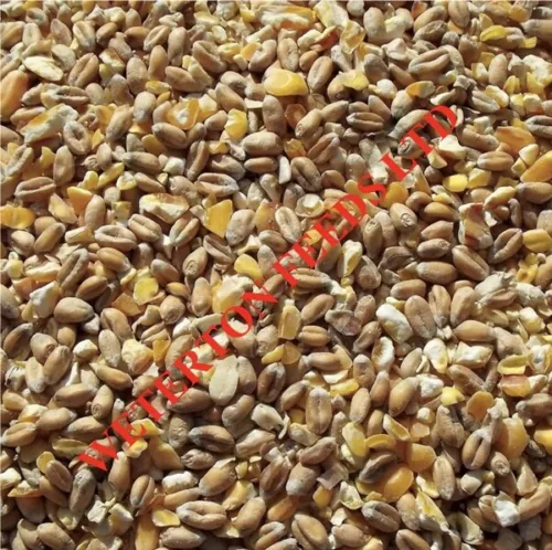 20kg mixed poultry corn feed for laying hens & waterfowl gm free - free delivery image 2