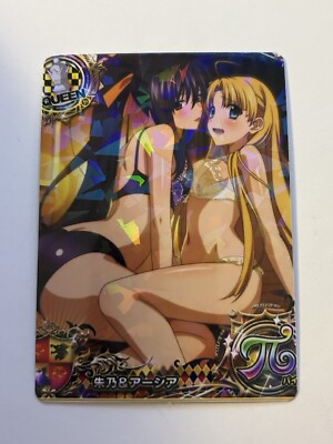 Sexy Group High School DxD Anime Doujin Waifu Art Card R05