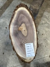 Black Walnut Cookie Slab #2338, live edge slab, unfinished, free shipping