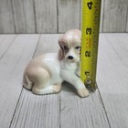Foto 6 di 7