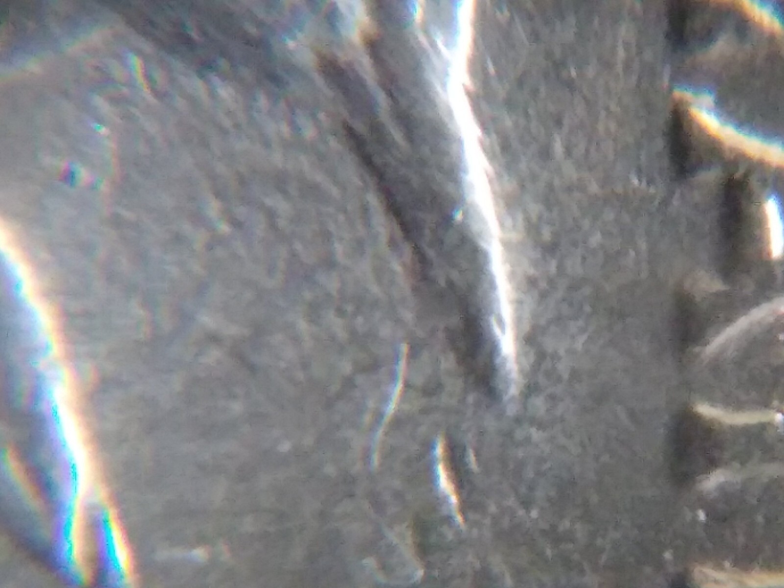 Picture 4 of 16