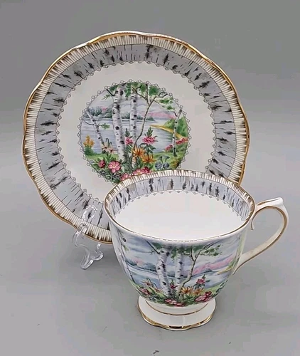 Royal Albert China Silver Birch Set Tea Cup & Saucer Made In England EUC