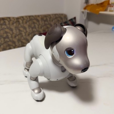 SONY aibo ERS-1000 (AIBO unit) - Initialized and working.