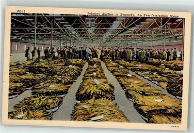 39688116 - Tobacco Auction in Kentucky An Ever-Interesting Scene KE-12 Tabak